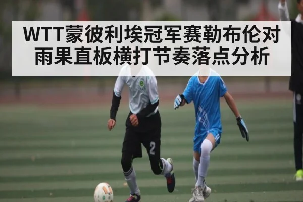 WTT蒙彼利埃冠军赛勒布伦对雨果直板横打节奏落点分析